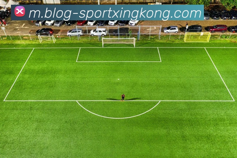 星空体育平台生态图