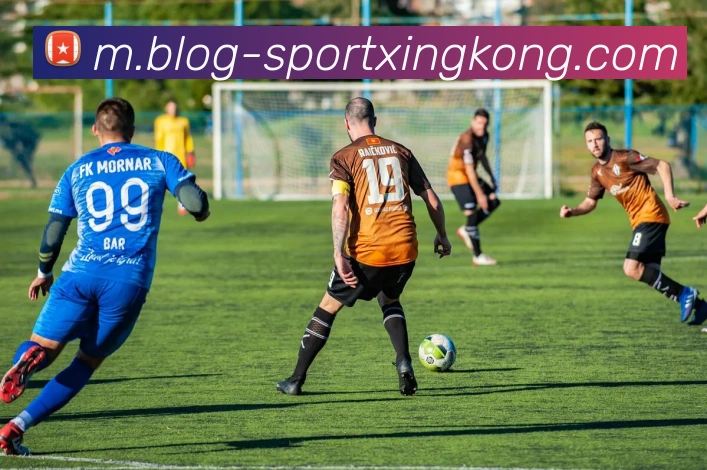 星空体育全站App